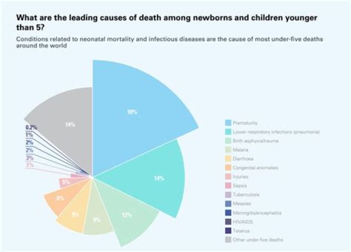 Are Automobile accidents are the leading cause of death for 15 to 20 year olds?