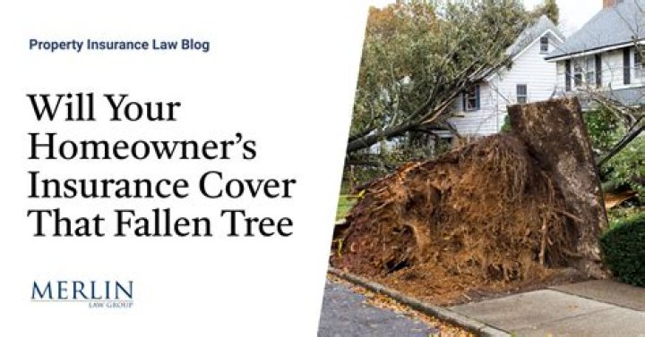 Are fallen trees covered by insurance?