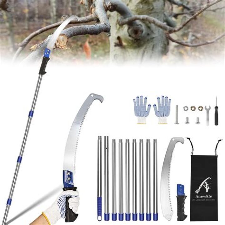 Are tree cutters insured?