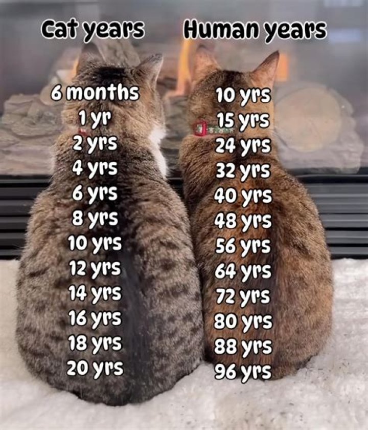 Can a 19 year old get ObamaCare?