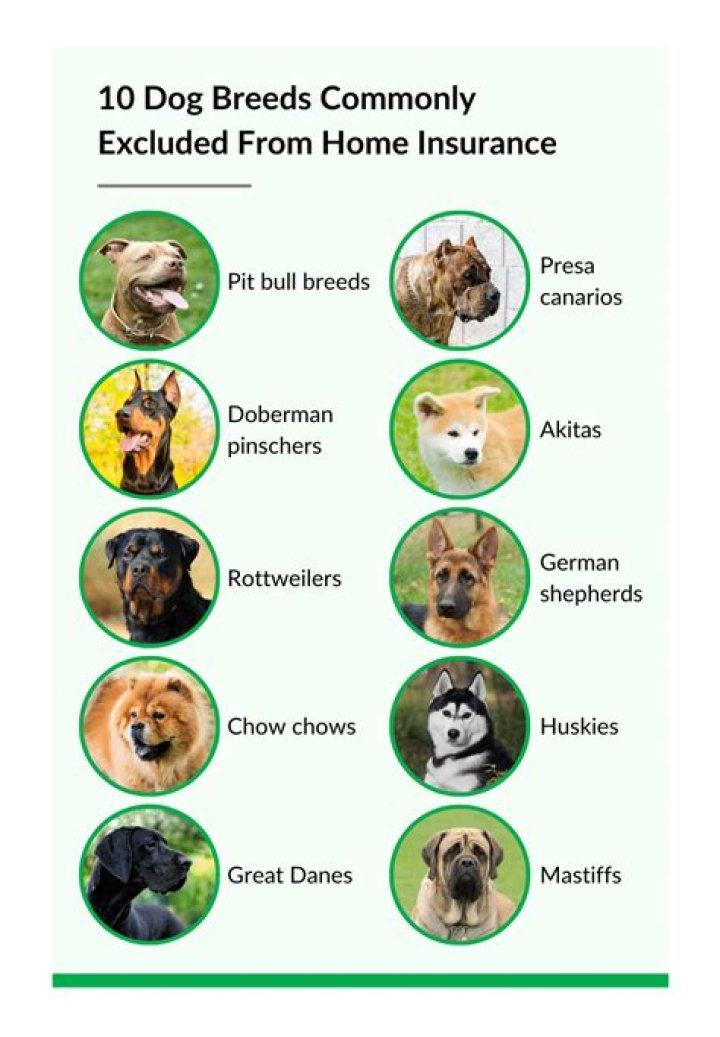 Can homeowners insurance discriminate against dog breeds?