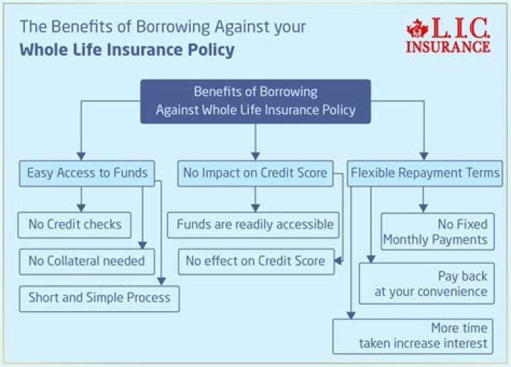 Can I borrow money from my 1Life policy?