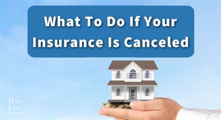 Can I cancel my insurance and get my premium refunded?