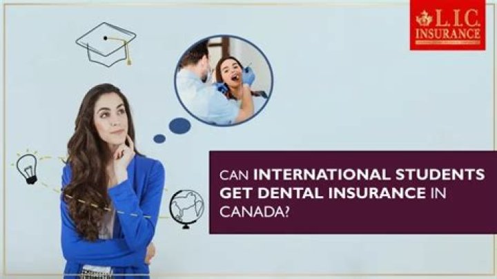 Can international students get car insurance?