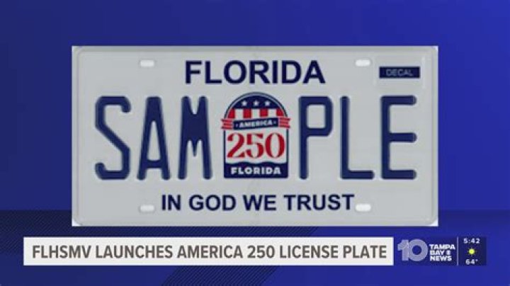 Can the police take your license plate in Florida?