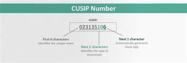 Can you look up a CUSIP number?