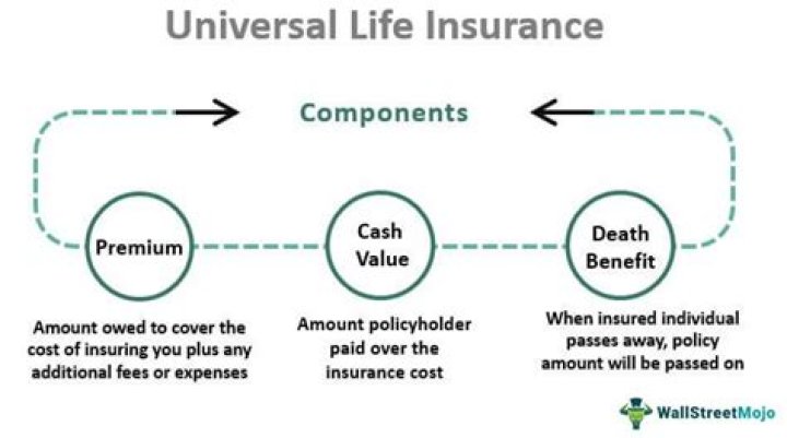 Can you skip premiums in universal life?
