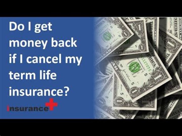 Do I get money back if I cancel my term life insurance?