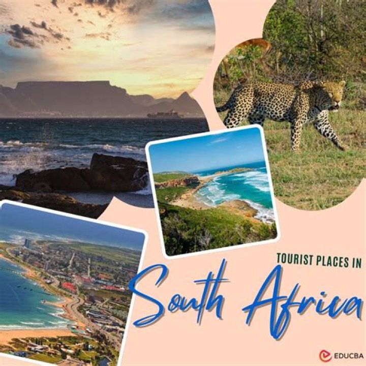 Do I need travel insurance to go to South Africa?