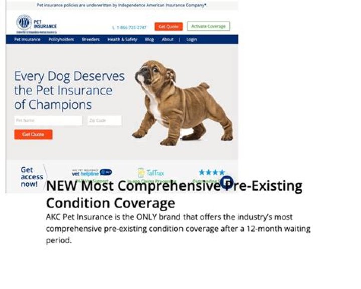 Do pet insurers pay vets direct?