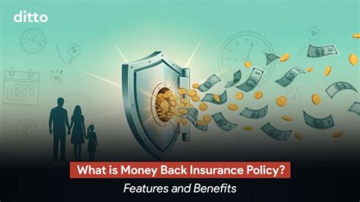 Do you have to pay back insurance money?