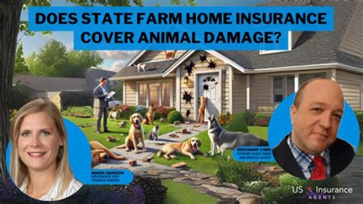 Does homeowners cover animal damage?