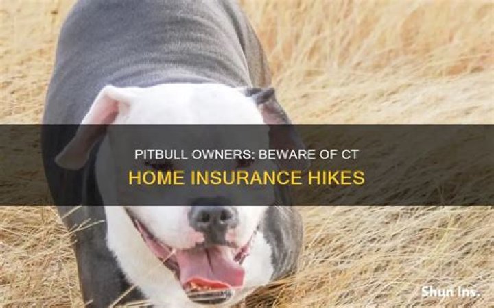 Does house insurance go up with a pitbull?