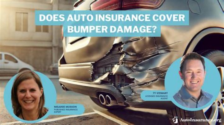 Does insurance cover mice damage?