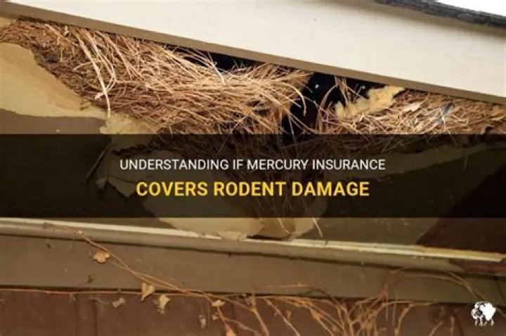 Does progressive comprehensive cover rodent damage?