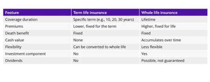 Does term life insurance have dividends?