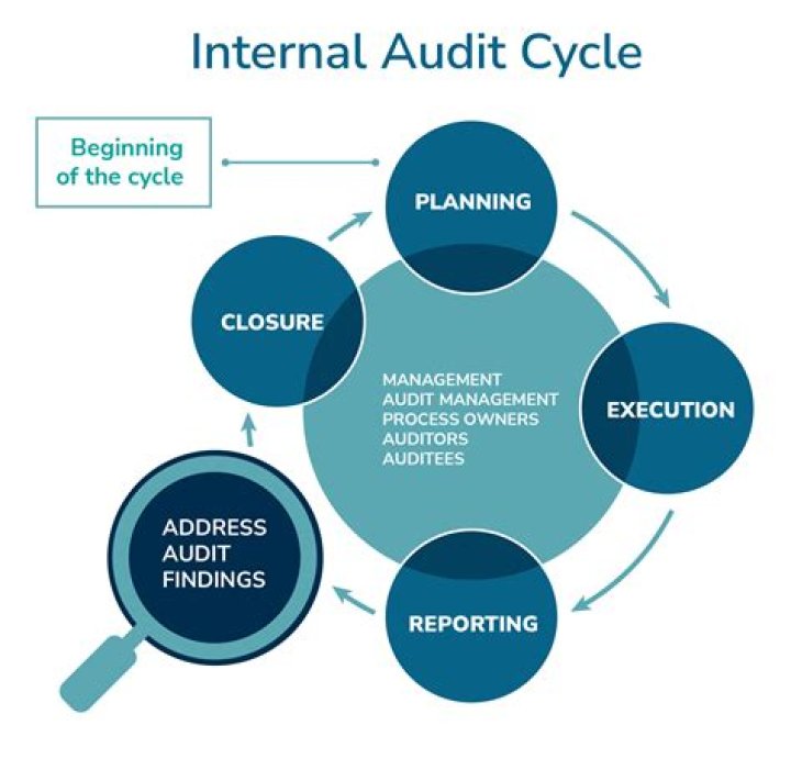 How an auditing is done for insurance company?
