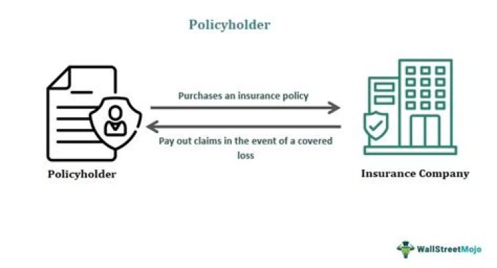 How can an insurer cancel a policy?