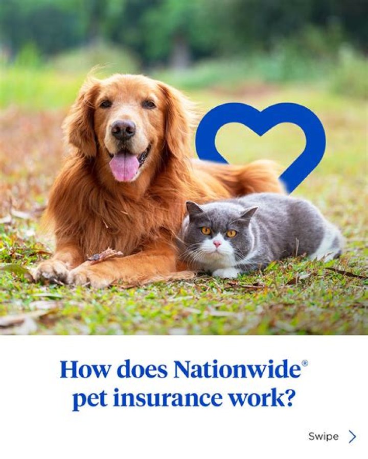 How do I email nationwide pet insurance?