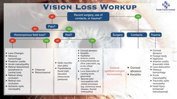 How do you compensate for vision loss?