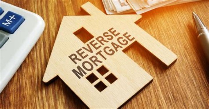 How does the government reverse mortgage work?