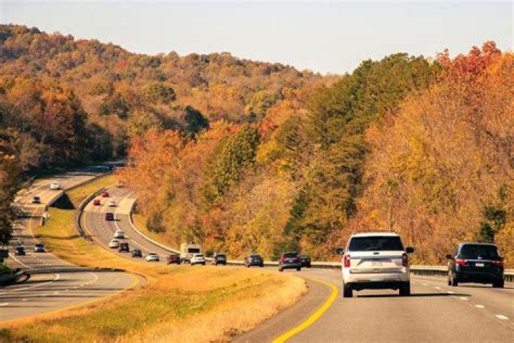 How long can you drive with expired tags in Virginia?