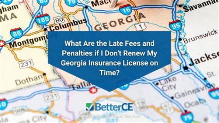 How long does it take to get a Georgia insurance license?