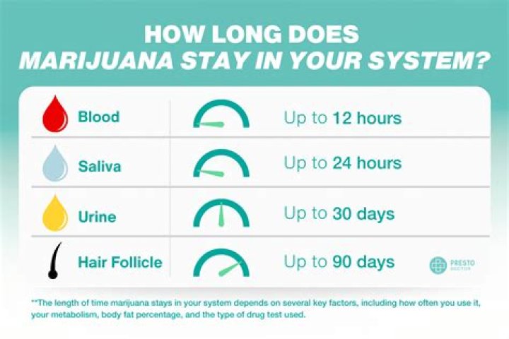 How long does seizure medication stay in your system?