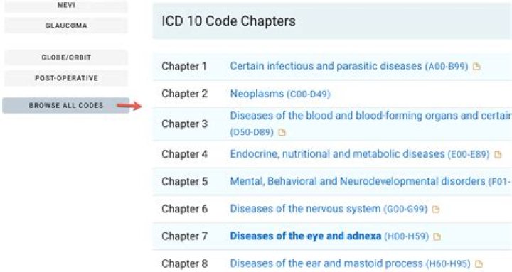 How many icd10 codes are there 2020?