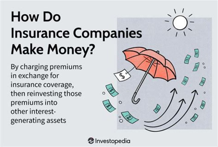 How many main insurance companies are there?