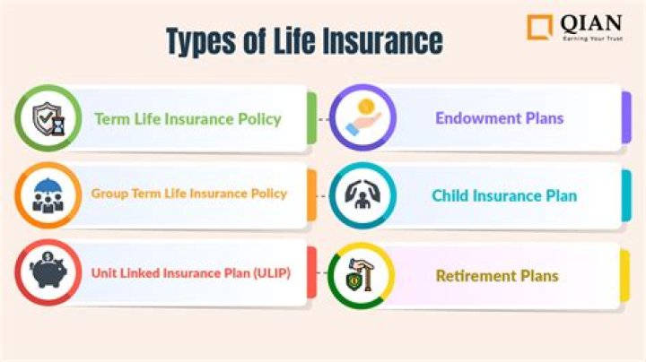 How many types of policies are available in life insurance?