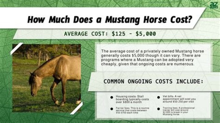 How much do mustangs cost to insure?