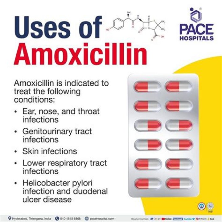 How much does amoxicillin cost without insurance at CVS?