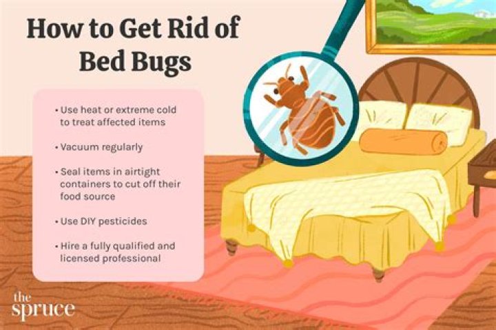 How much does it cost to get your house treated for bed bugs?