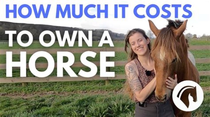How much does it cost to keep a horse at a farm?