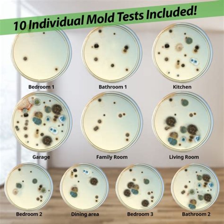 How much is a mold lawsuit worth?
