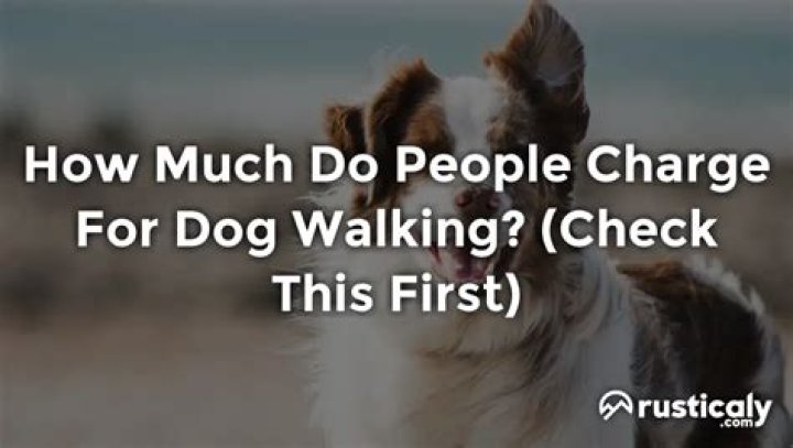 How much should a 13 year old charge for dog walking?