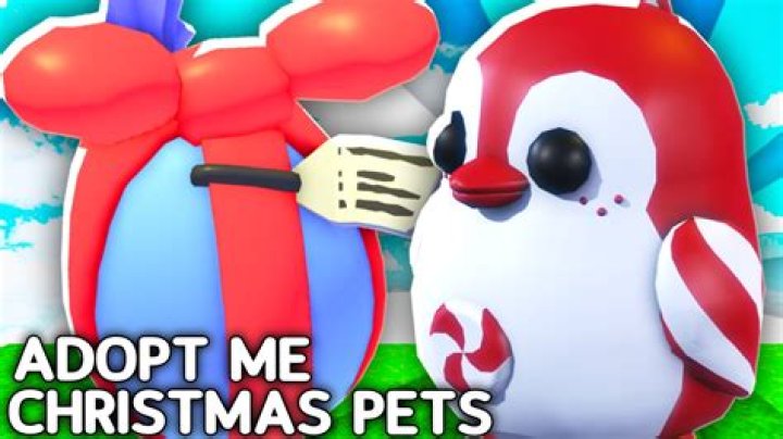 How to adopt in Cameroon?