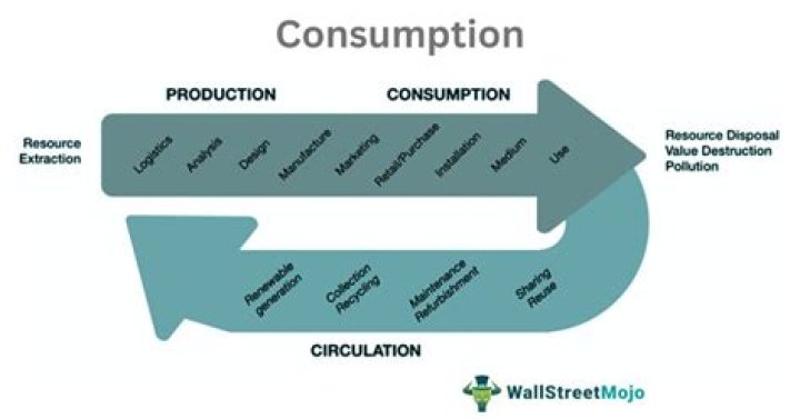 Is health consumption or investment?