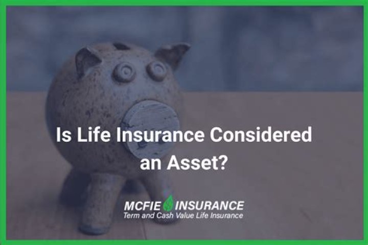 Is insurance considered an asset?