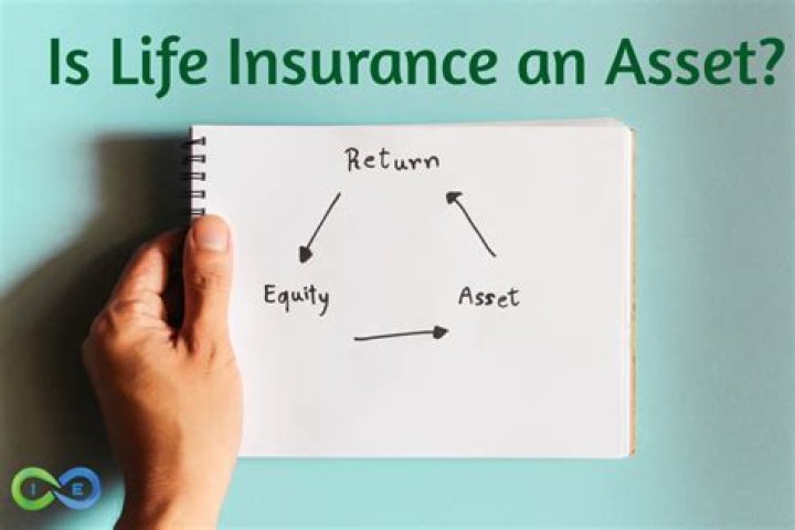 Is life insurance an asset or liability?