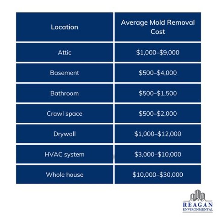 Is mold removal expensive?