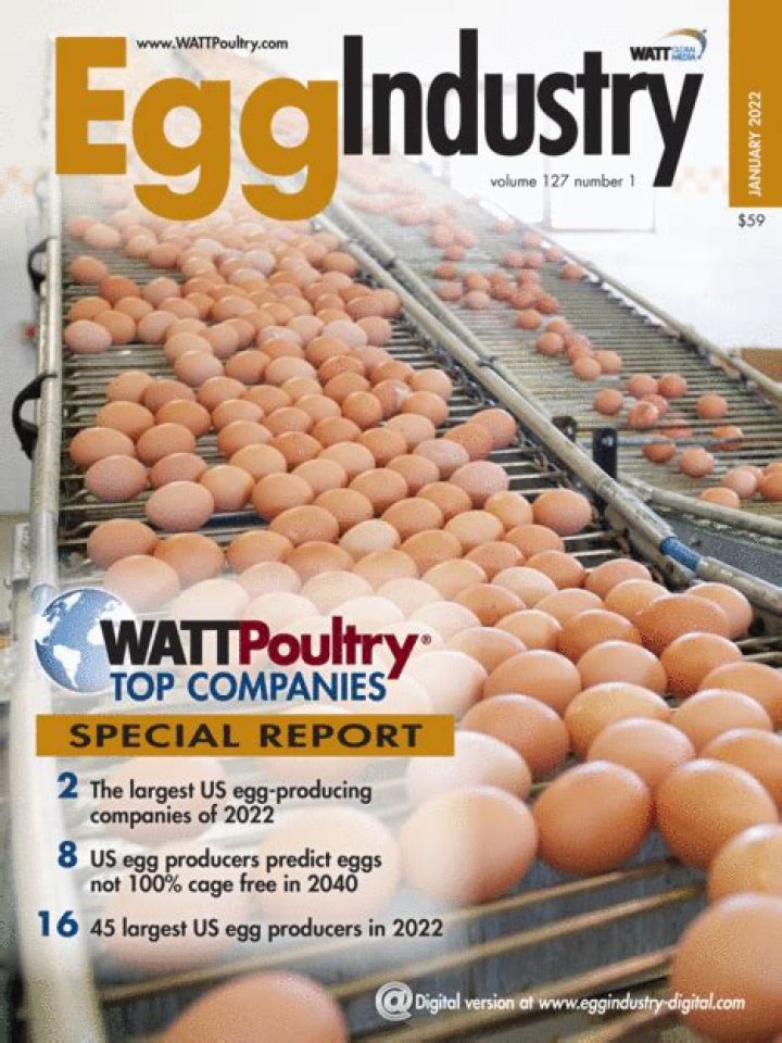 Is the egg industry bad for the environment?