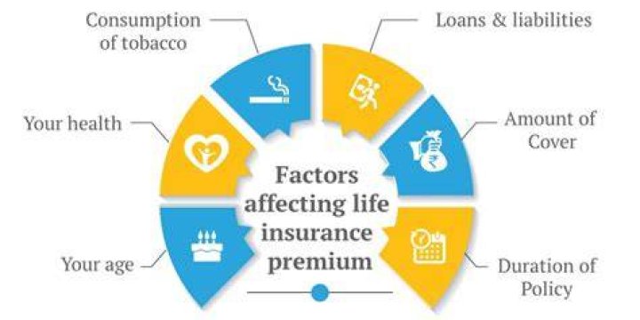 What are 3 factors that may affect your life insurance premium?