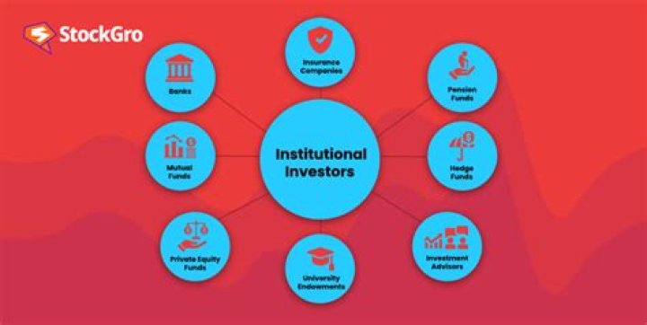 What are large investors called?