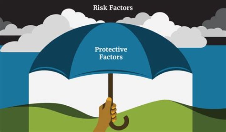 What are rating factors in insurance?