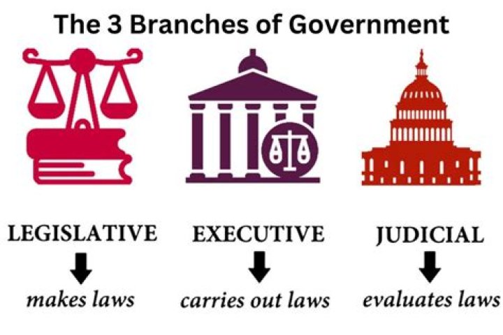 What are the 3 main endorsements?