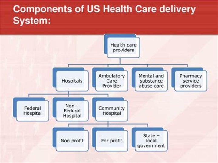 What are the 4 parts of the US health care delivery system?
