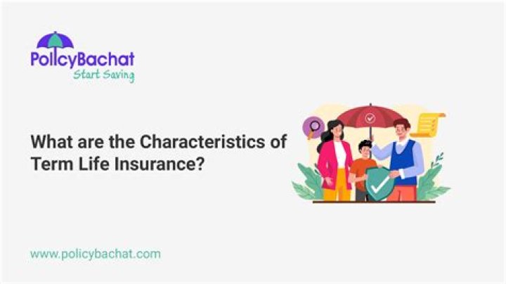 What are the characteristics of term life insurance?