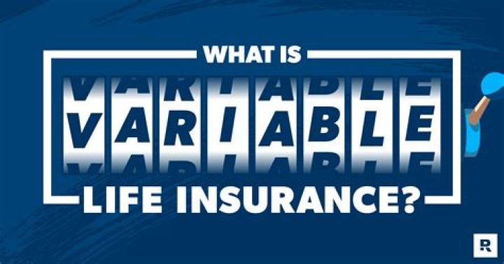 What are the characteristics of variable life insurance?